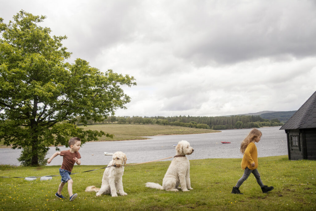 Children and their dogs take a walk at Kielder